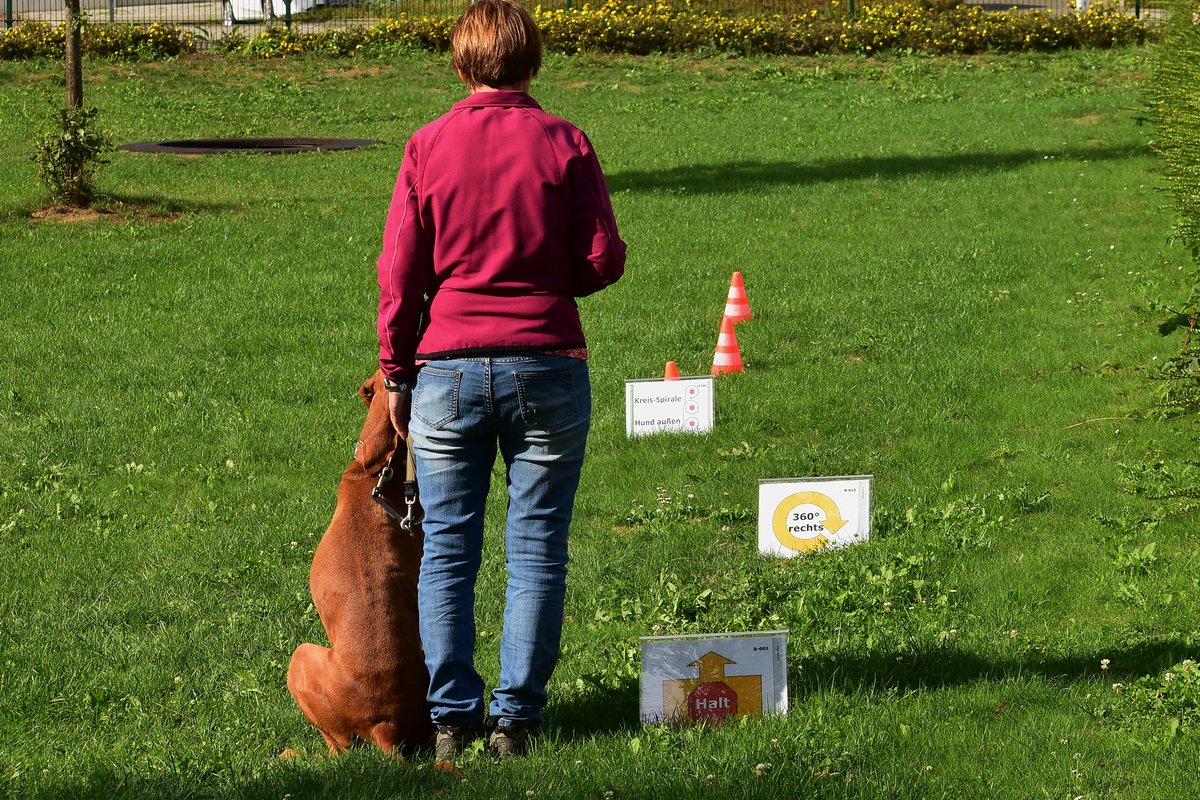 Rally Obedience in Hennef - Parcours