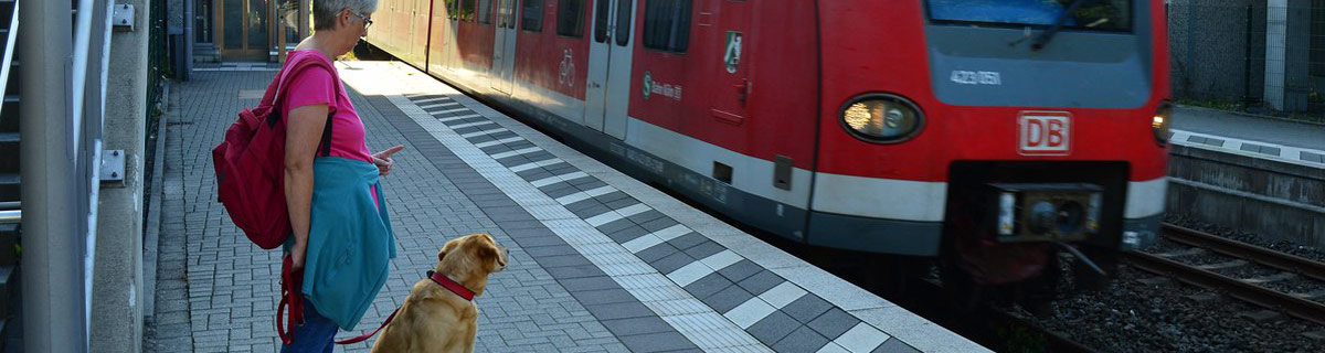 Bahnfahren mit Hund in Hennef