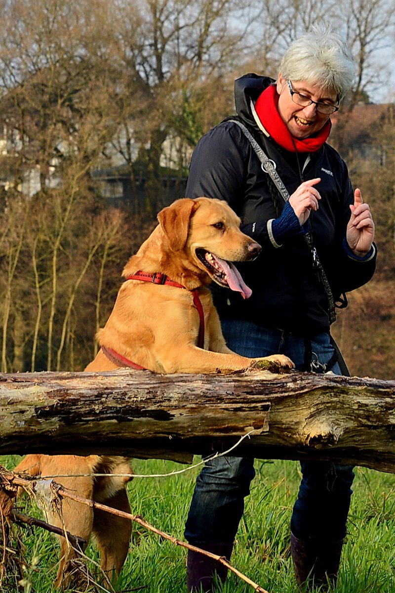 Beate Karbe - Ihre Hundeschule in Hennef