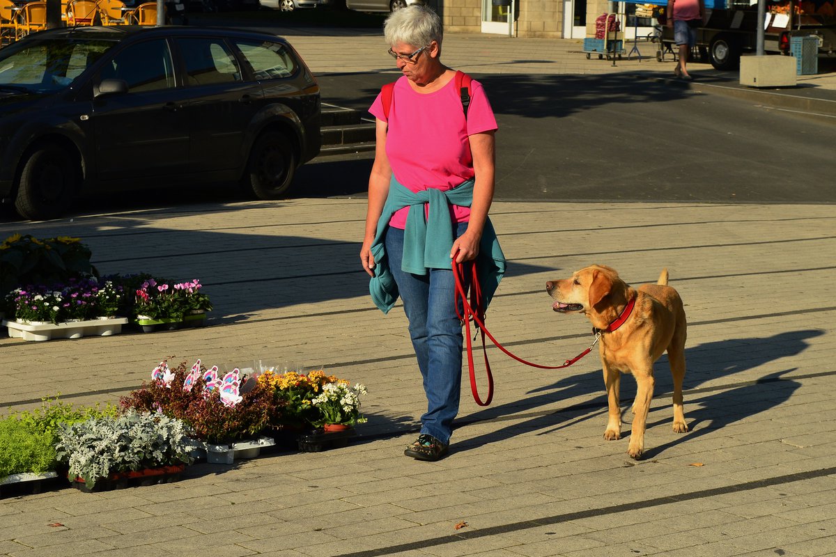 Bauschan im Blumenmarkt - Hundeschule in Hennef unterwegs
